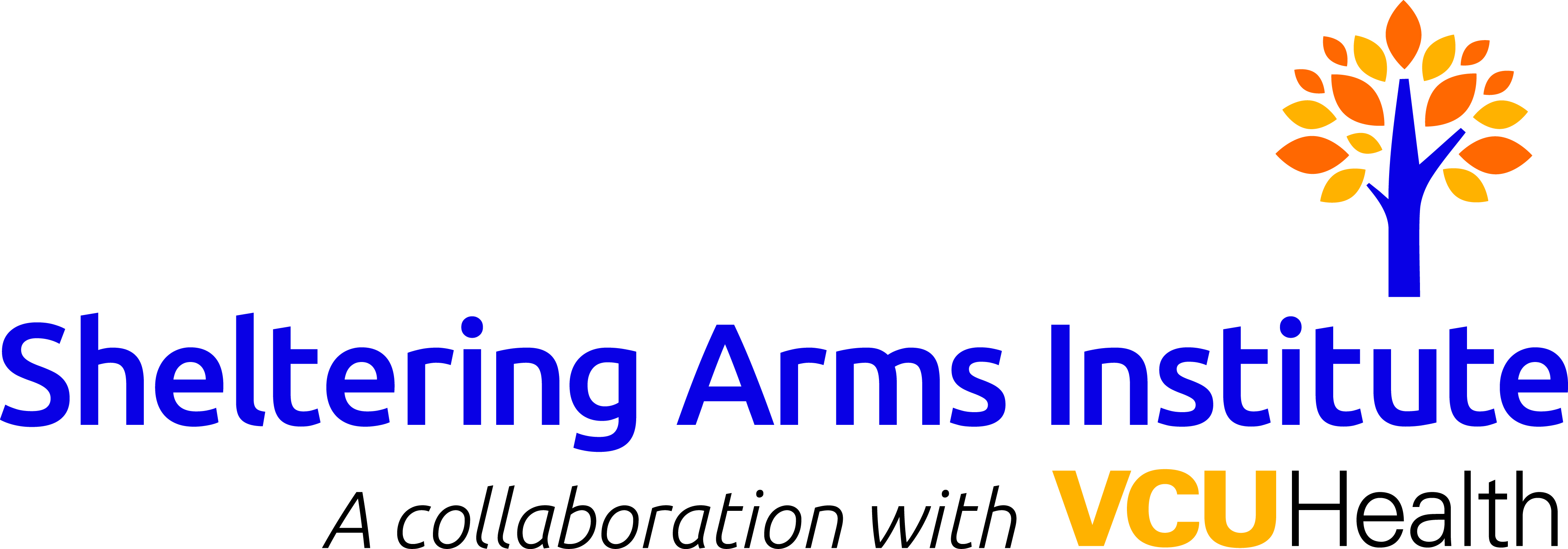 SAI Logo Horizontal